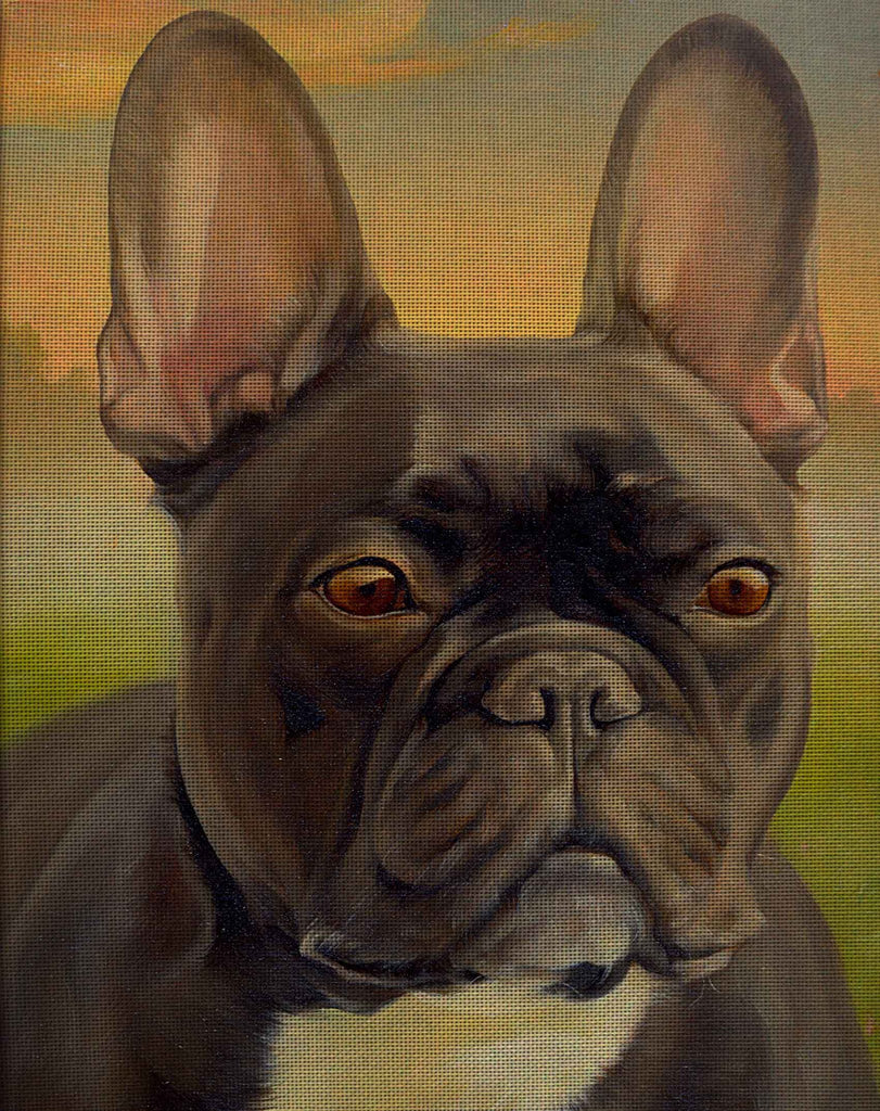 Needlepoint canvas 'French bulldog'