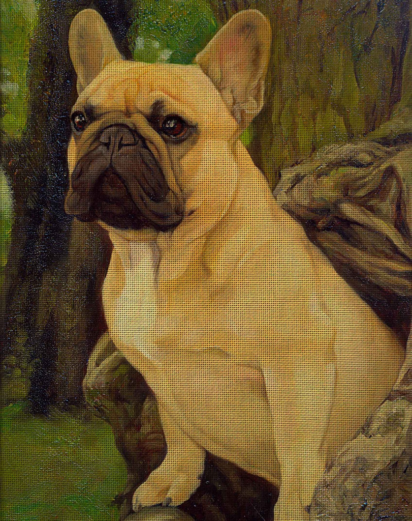 Needlepoint canvas 'French Bulldog.Impresario'